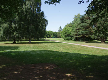 MAJ 2006 185